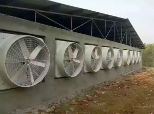 榴莲视频色板下载污安装现场